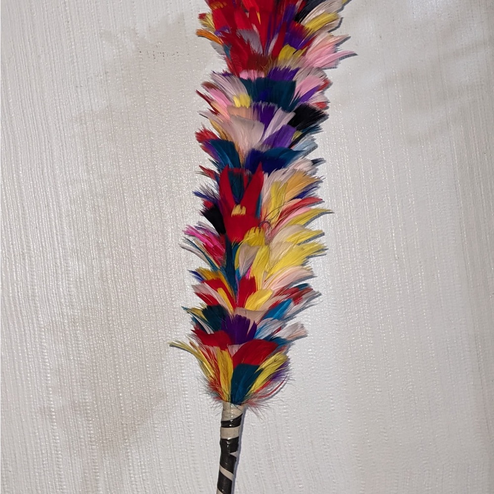 Colorful Feather Duster